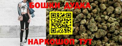 крисы Аша