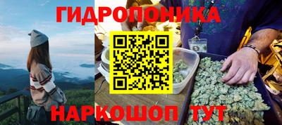 крисы Аша
