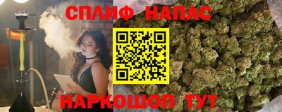 гашик Баксан