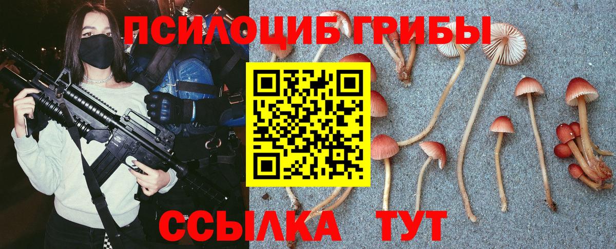 Галлюциногенные грибы Psilocybe  Вход с VPN  продажа наркотиков  Великий Новгород 