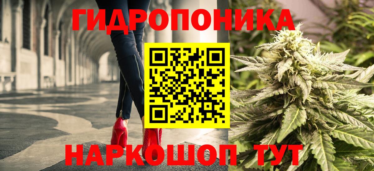 Каннабис Ganja Великий Новгород